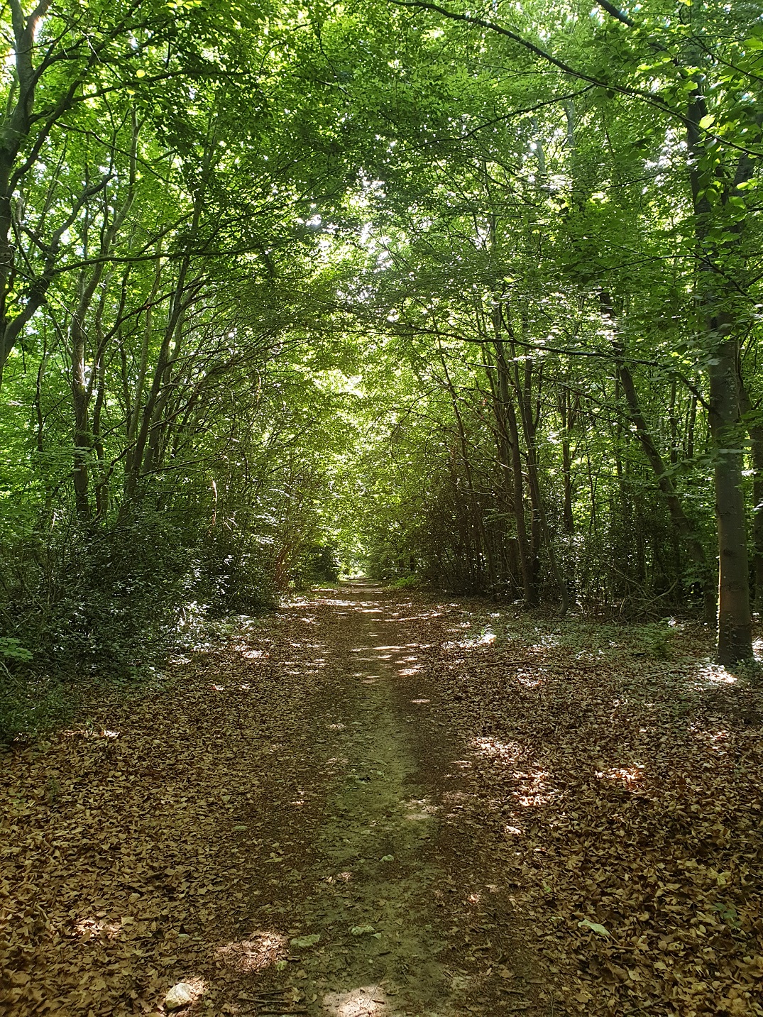 La Fontaine Chaudron (variante), Bresles