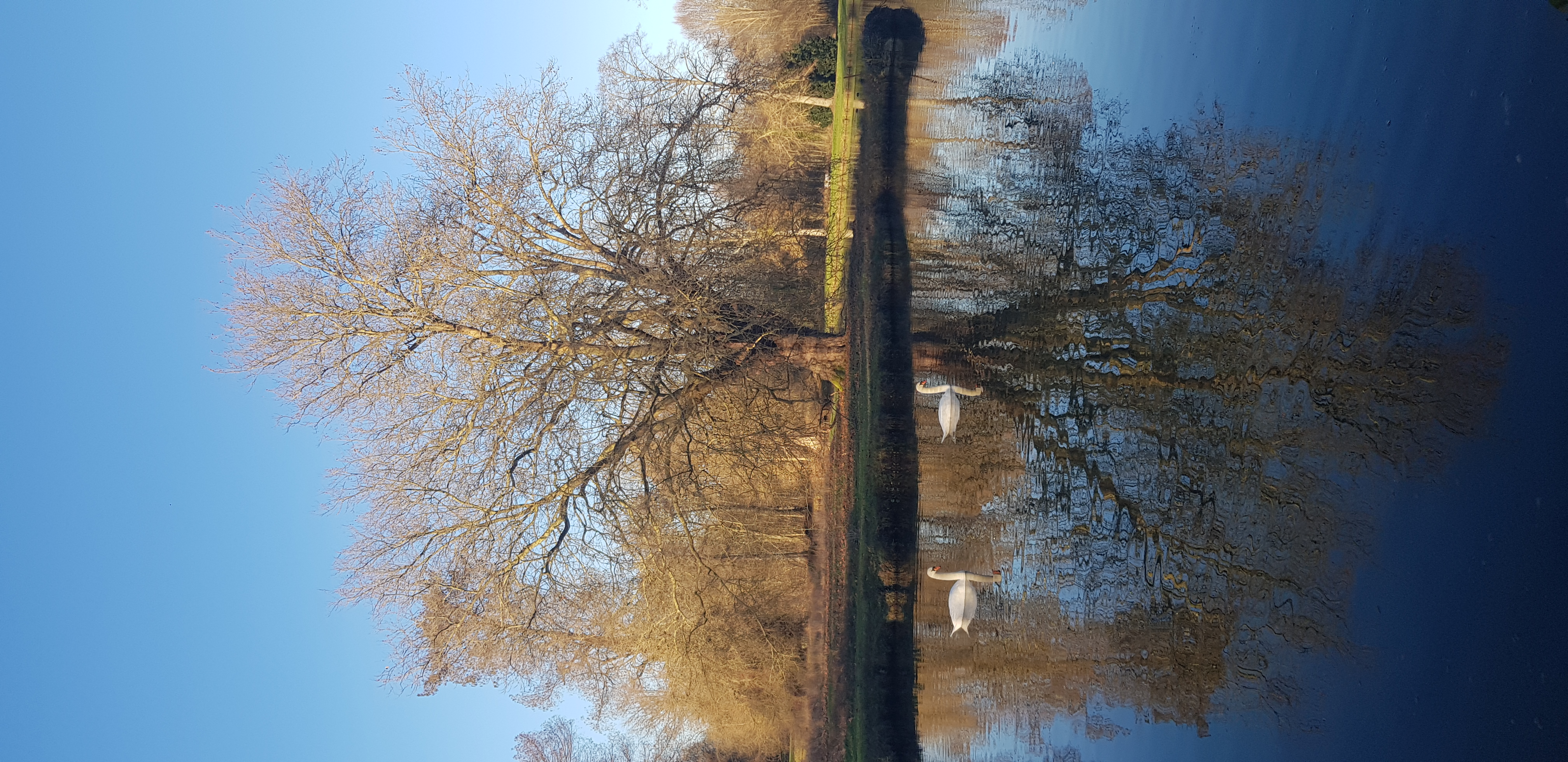 Parc du Château de Troissereux