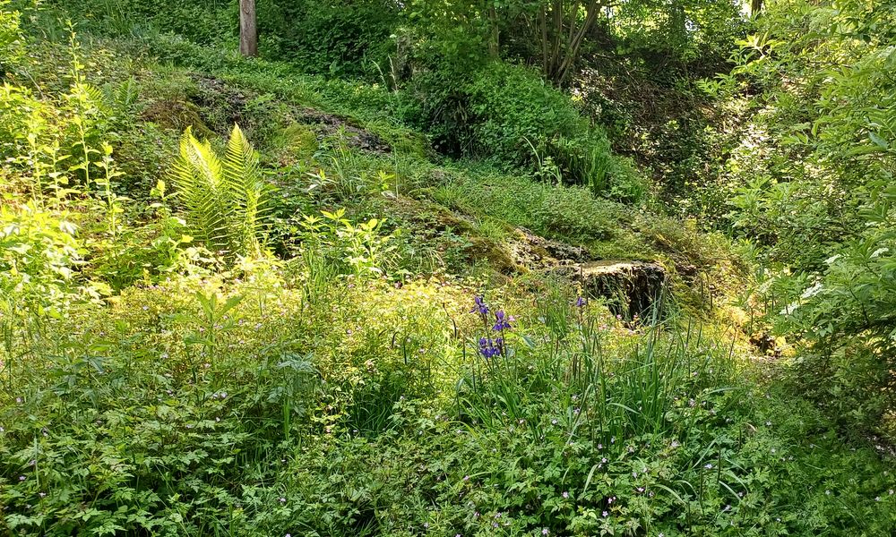 Les jardins généreux