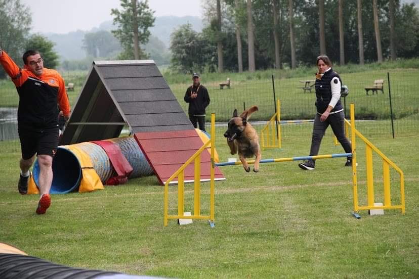 Concours Agility à Bouttencourt