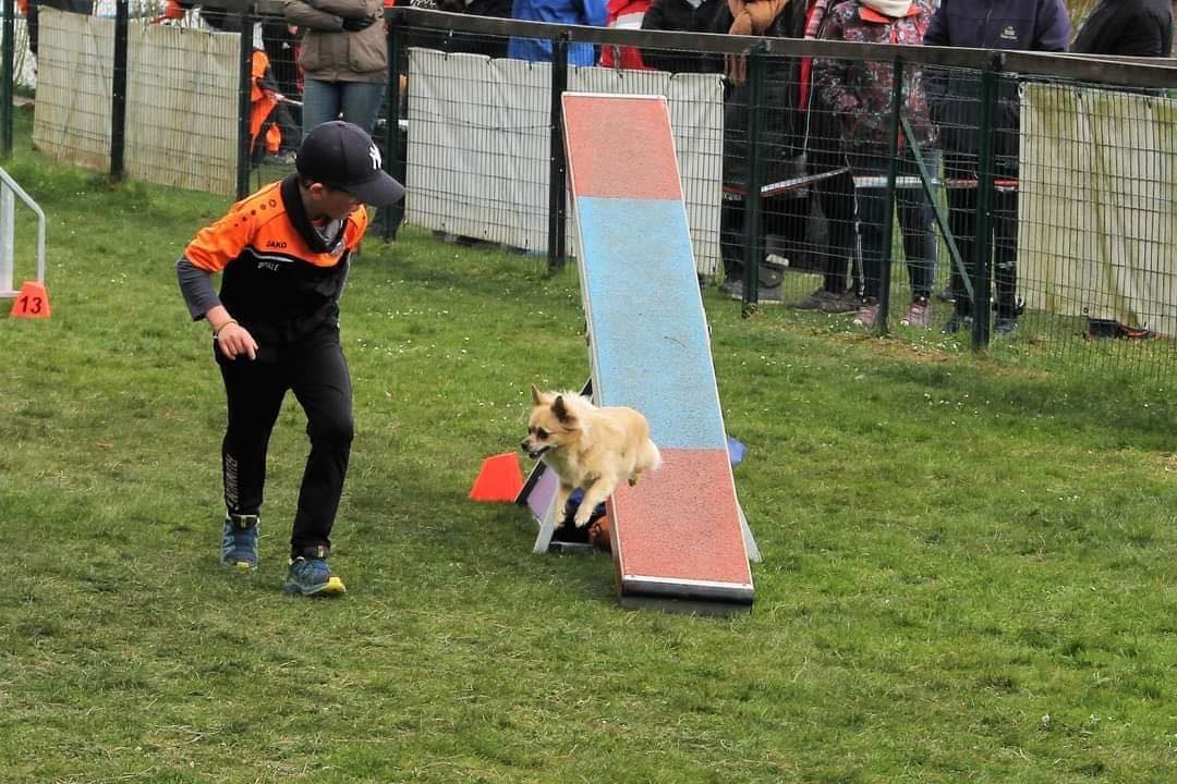 concours canin 2022 - ©Frederic-larobe concours canin 2022