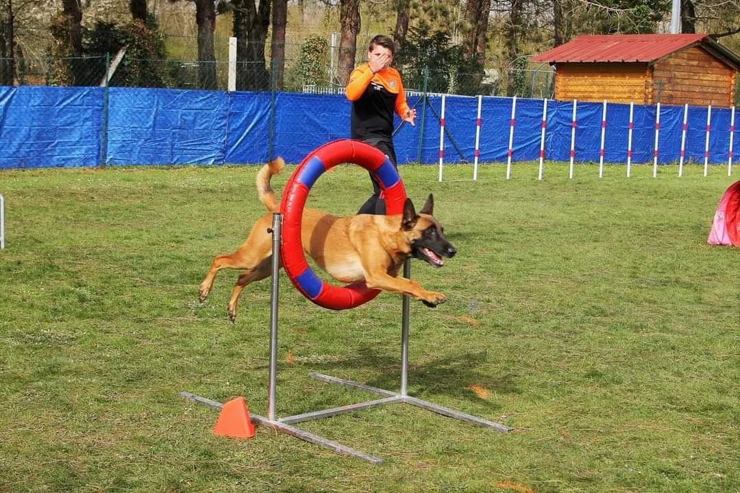 concours canin - 2022 - ©Frederic-larobe concours canin - 2022