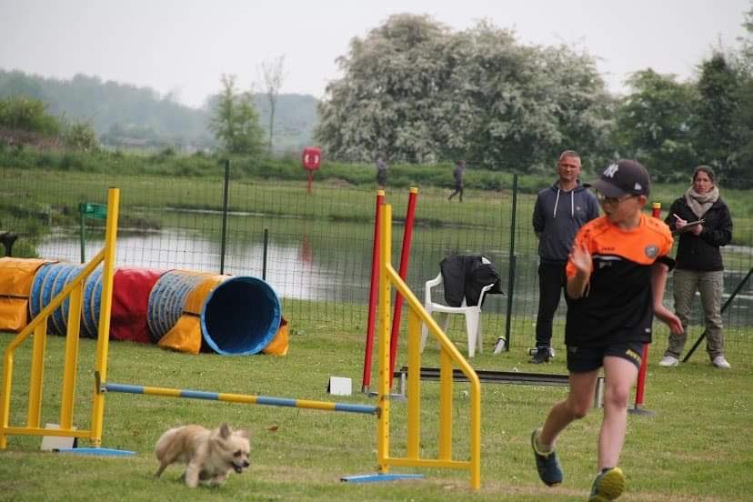 concours canin 2022 - ©Frederic-larobe concours canin 2022