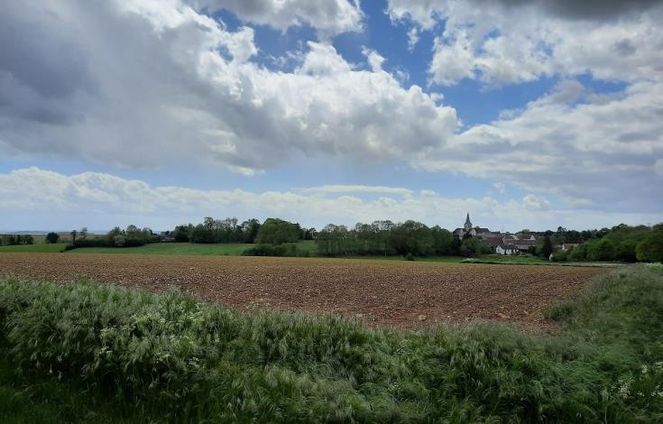 43. Des jardinets au Bois Louvet 2