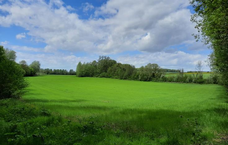 43. Des jardinets au bois Louvet 3
