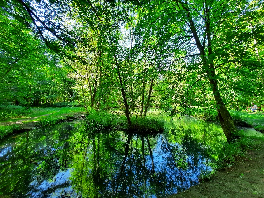 A la rencontre de Saint-Louis