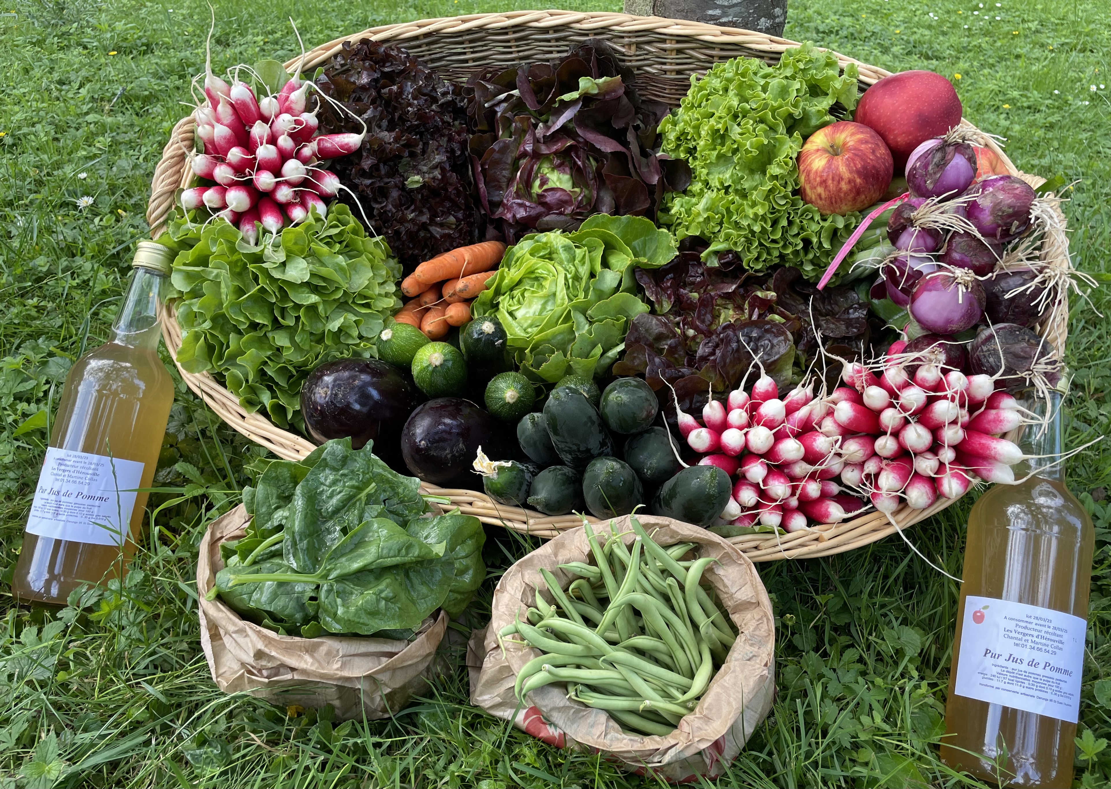 Légumes à retrouver dans nos casiers
