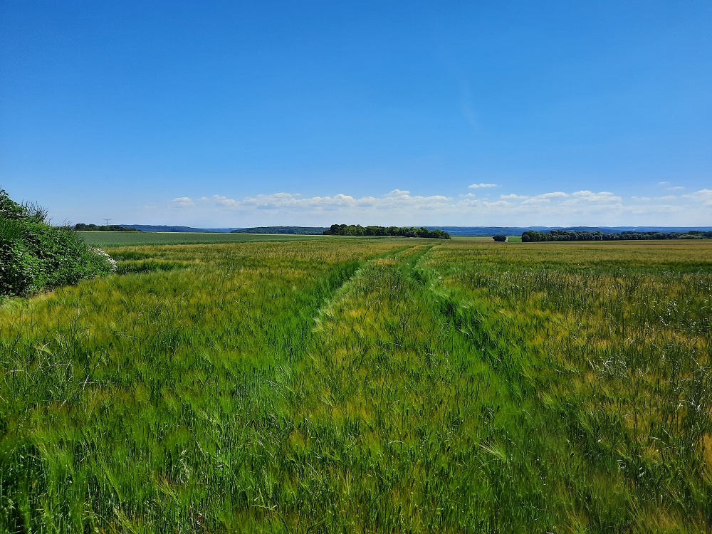Les grandes plaines, Le Fay-Saint-Quentin - photo 3
