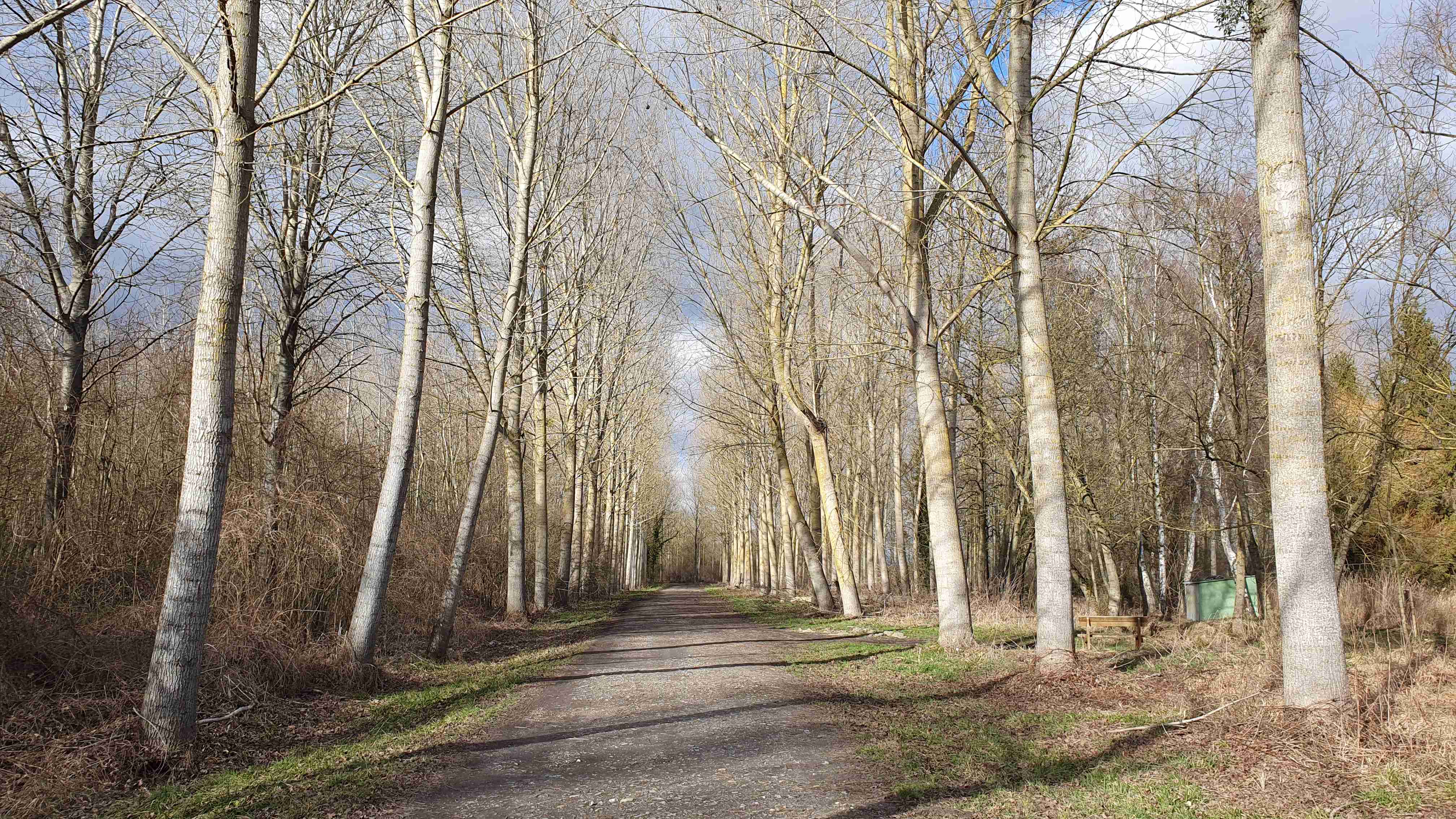 Marais et petits monts, Bresles - photo 2