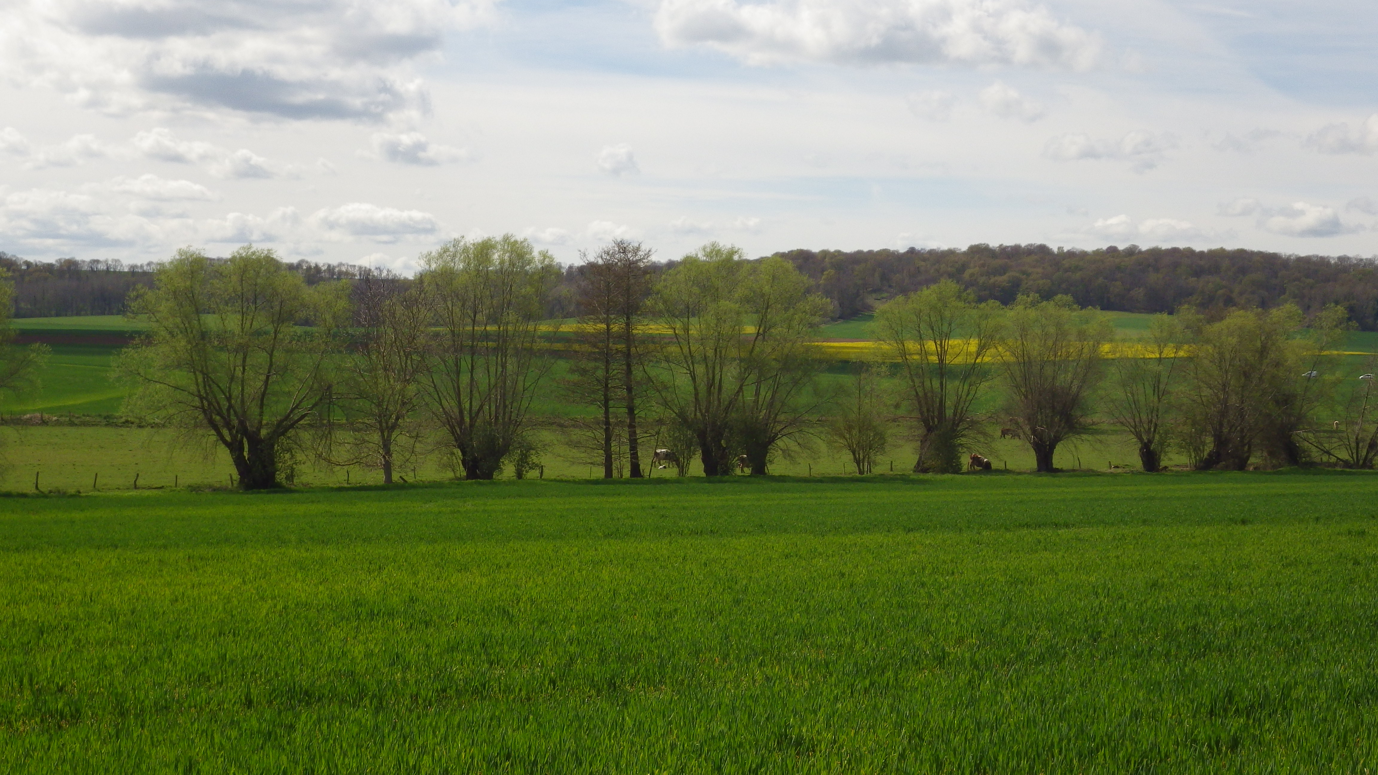 Des 2 Vexin au Pays de Nacre, Chaumont-en-Vexin - photo 3