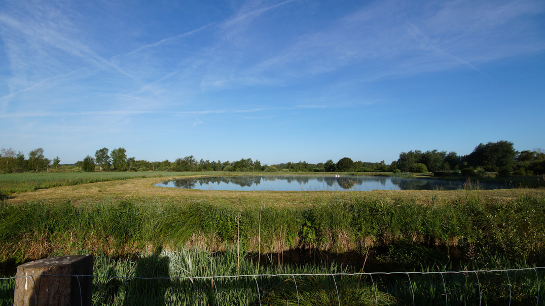 Marais de Sacy