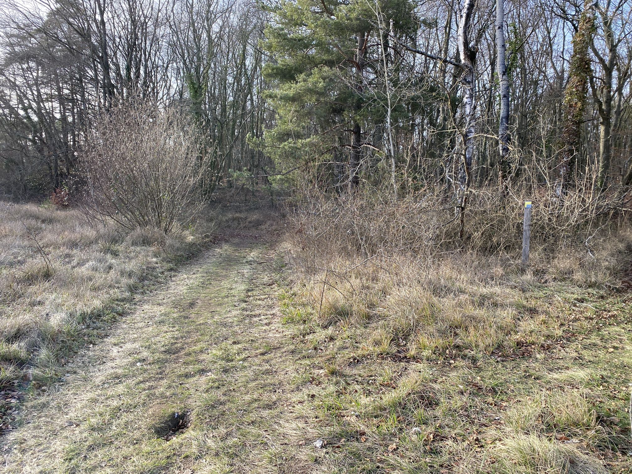 Le Mont César, Bailleul-sur-Thérain - photo 4