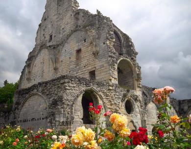 Abbaye de Chaalis Roses