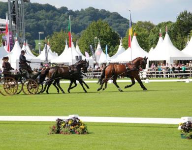 Aix-2015-Les-Attelages-de-Sacy