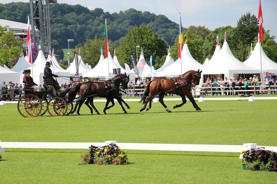 Aix-2015-Les-Attelages-de-Sacy