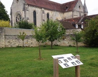 Arboretum de Saint-Jean-aux-Bois_© Compiègne Tourisme (2)