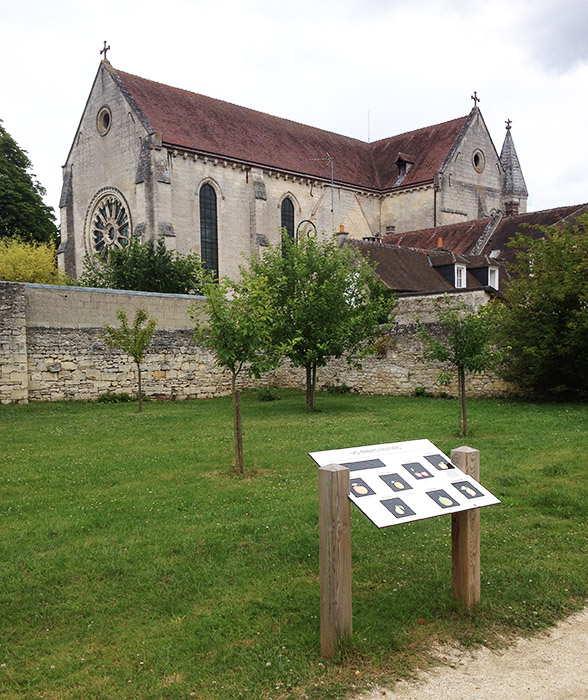 Arboretum de Saint-Jean-aux-Bois_© Compiègne Tourisme (2)