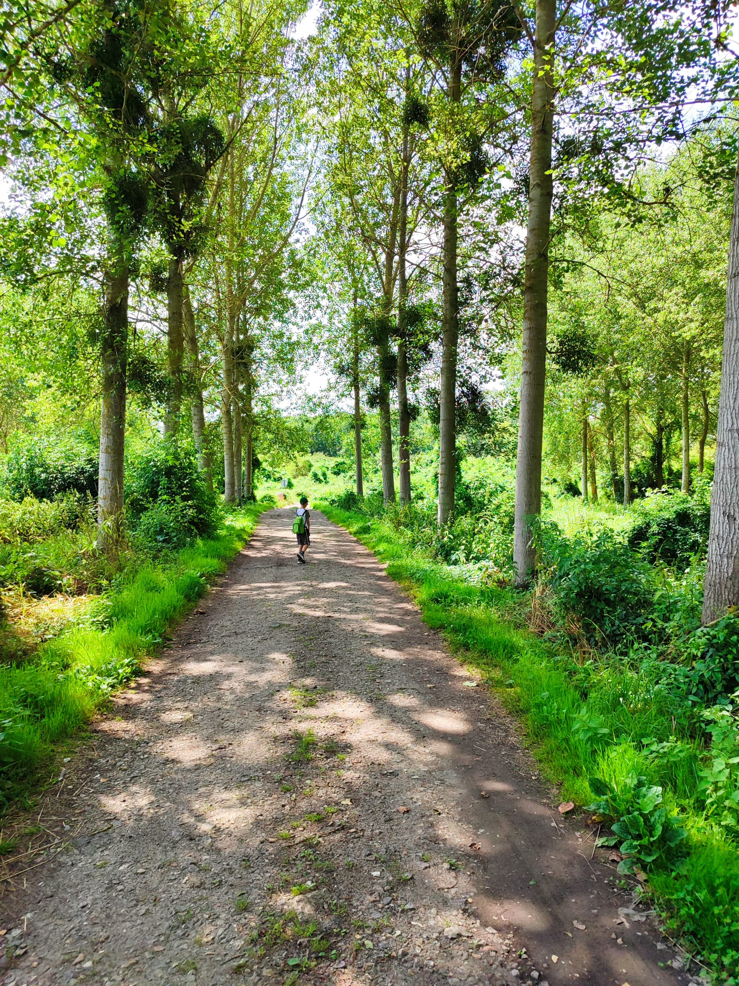 Marais et petits monts, Bresles - photo 3