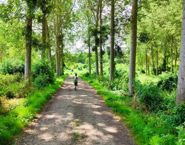 BRESLES_Marais-et-petits-monts_microbaladeOiseTourisme_ASL (7)