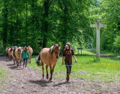 Balade en Henson_© Xavier Renoux - Oise Tourisme_Droits jusqu'au 15.07.2031 (10)