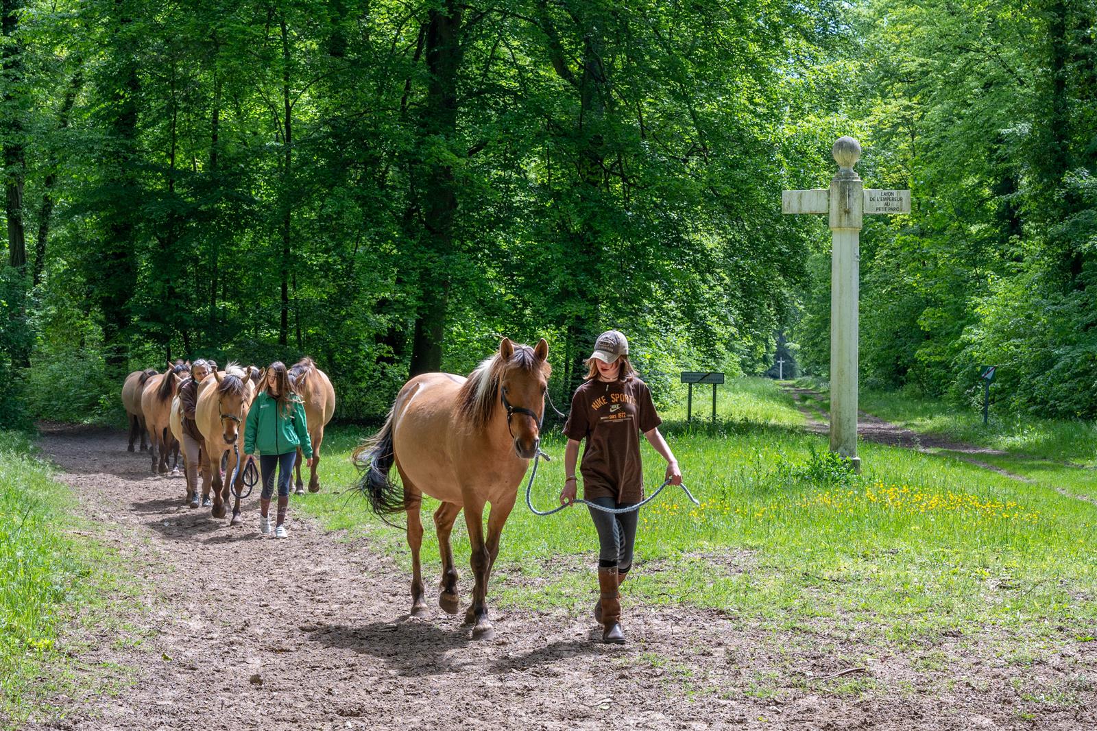 Balade en Henson_© Xavier Renoux - Oise Tourisme_Droits jusqu'au 15.07.2031 (10)