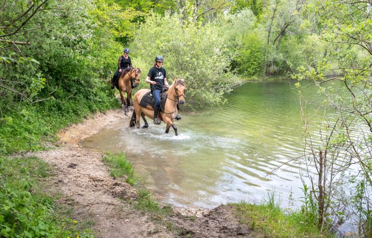 Balade en Henson Xavier Renoux - Oise Tourisme_Droits jusqu'au 15.07.2031 (4)
