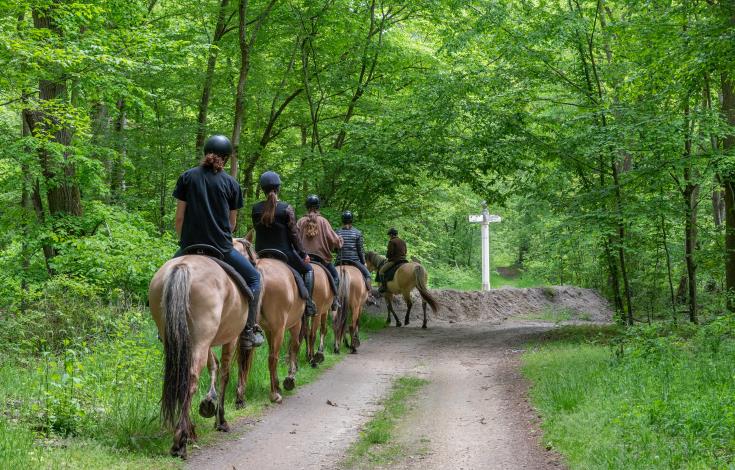 Balade en Henson_© Xavier Renoux - Oise Tourisme_Droits jusqu'au 15.07.2031 (5)