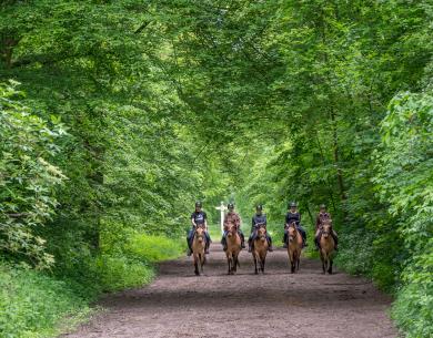Balade en Henson_© Xavier Renoux - Oise Tourisme_Droits jusqu'au 15.07.2031 (8)