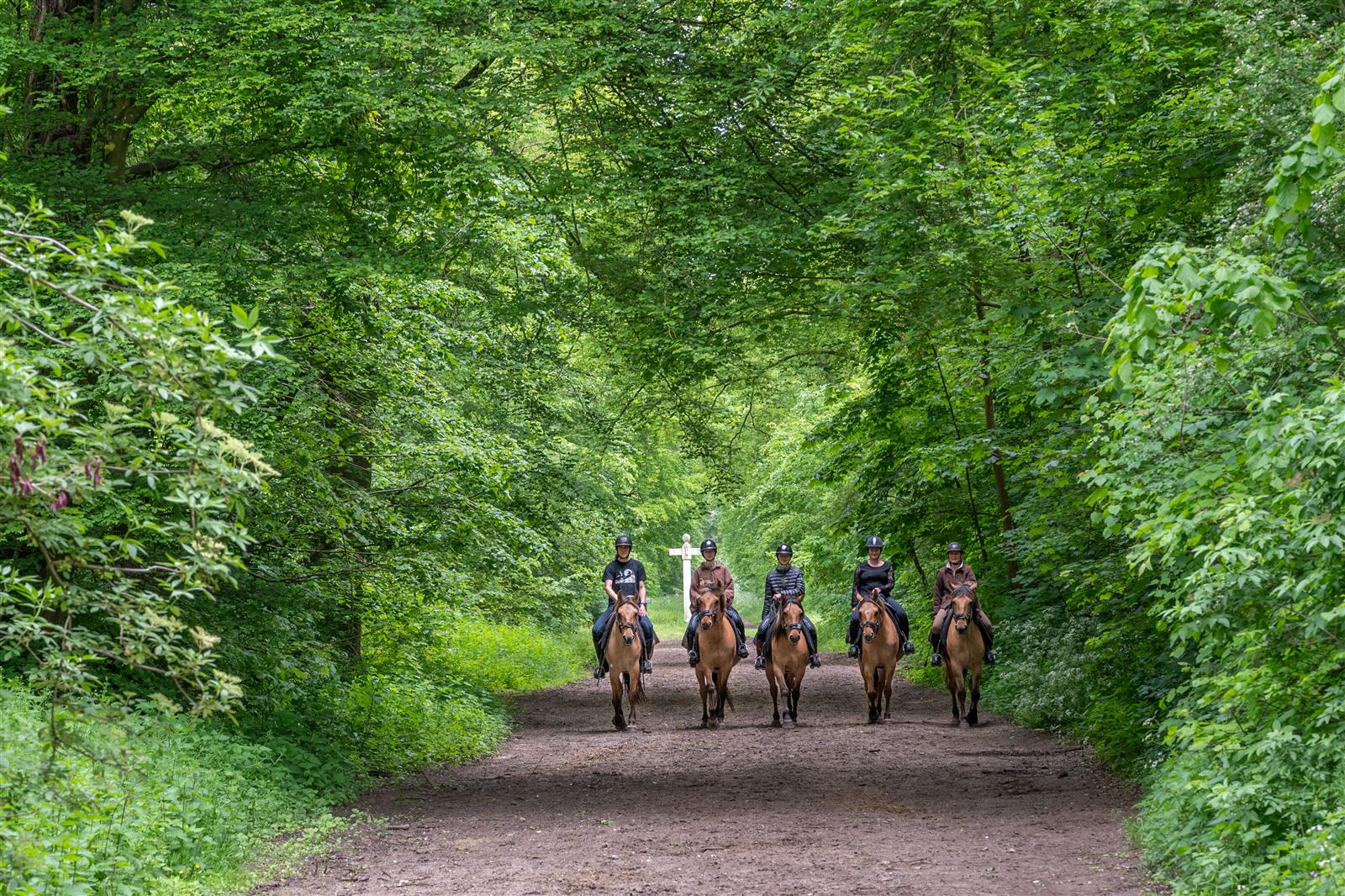 Balade en Henson_© Xavier Renoux - Oise Tourisme_Droits jusqu'au 15.07.2031 (8)