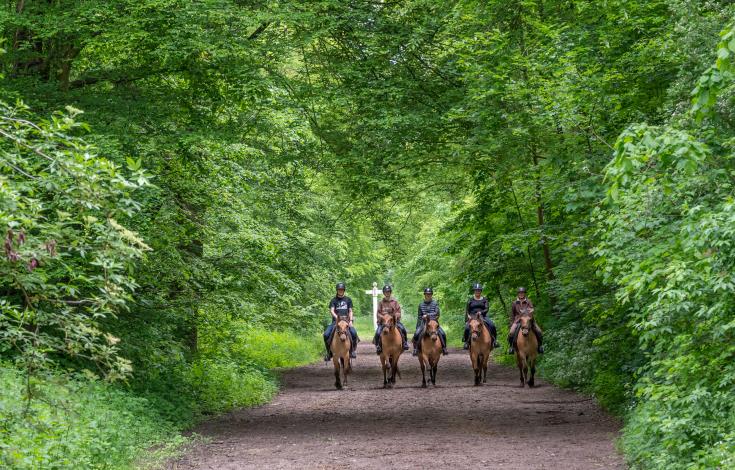 Balade en Henson_© Xavier Renoux - Oise Tourisme_Droits jusqu'au 15.07.2031 (8)