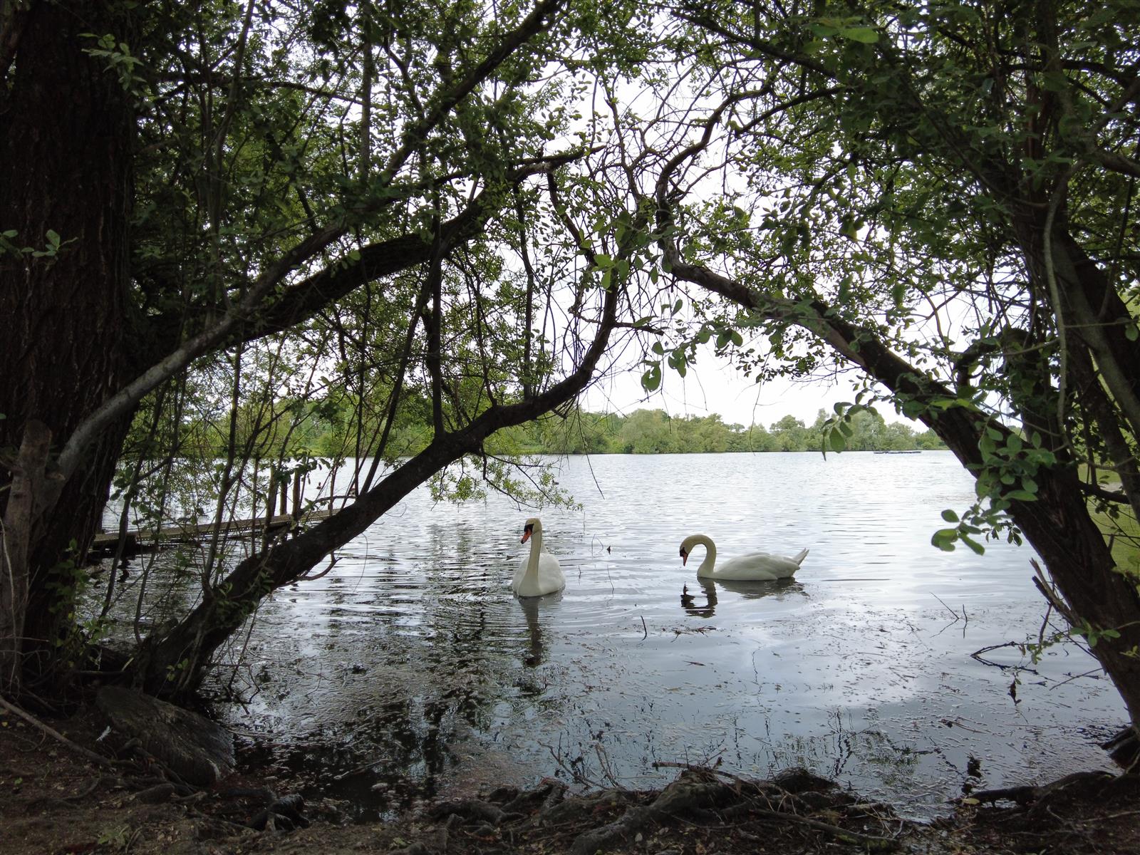 Base nautique Longueil Sainte Marie(1)