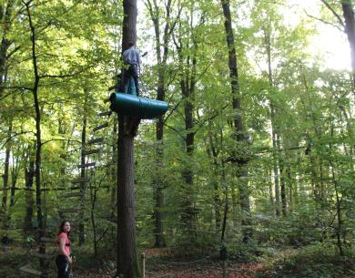 Parcours accrobranche