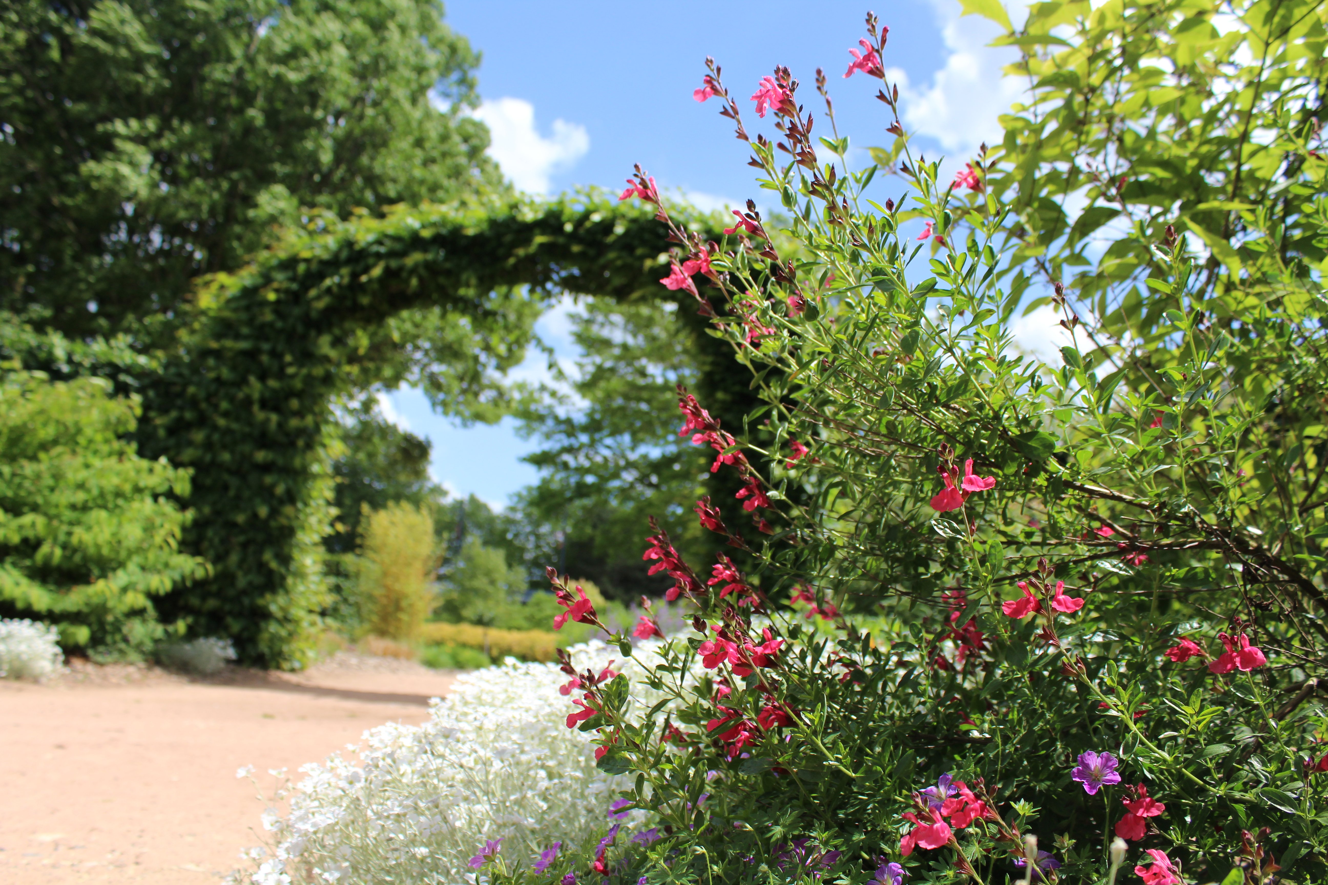Parc Marcel Dassault