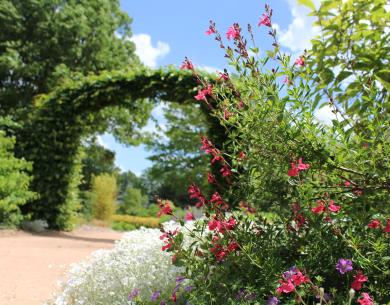 Beauvais_Parc-Dassault_2017©VisitBeauvais (122)