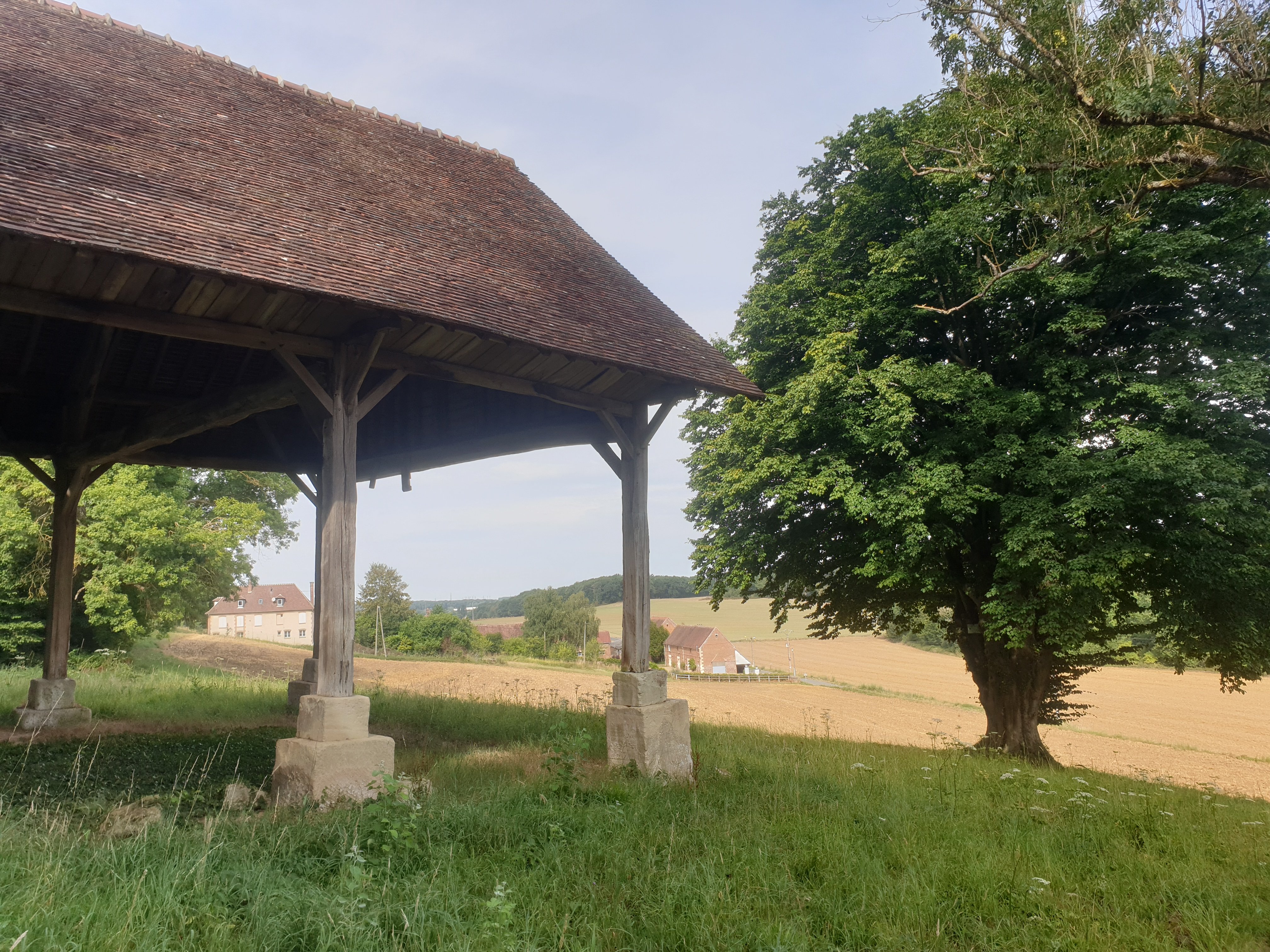 Les trésors des Bois de Warluis