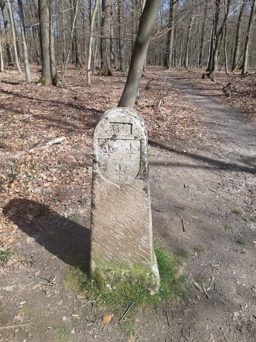 GR® 12 B d'Aumont-en-Halatte au Mont-Pagnotte, Aumont-en-Halatte - photo 2