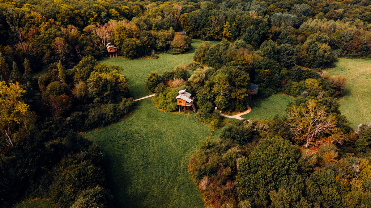 Cabanes perchées dans les arbres - Cabanes de La Réserve