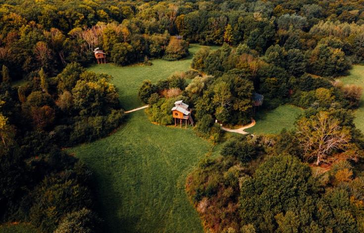 Cabanes perchées dans les arbres - Cabanes de La Réserve
