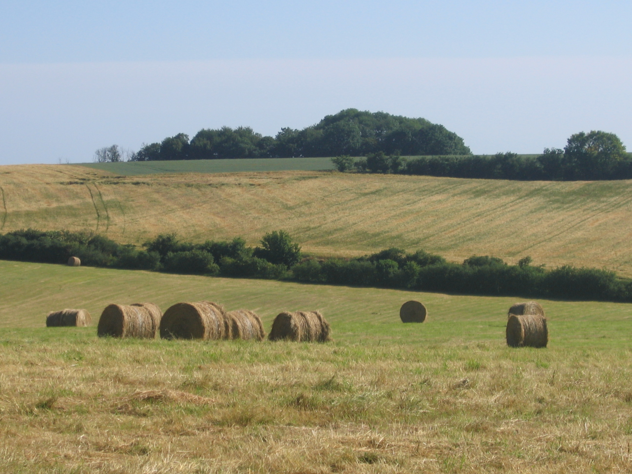 Entre Vallée du Thérain et Val du Sillet, Hermes