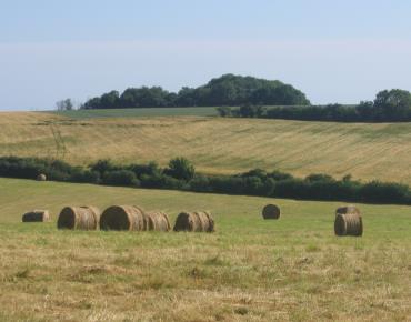 Campagne_2006©VisitBeauvais (1)