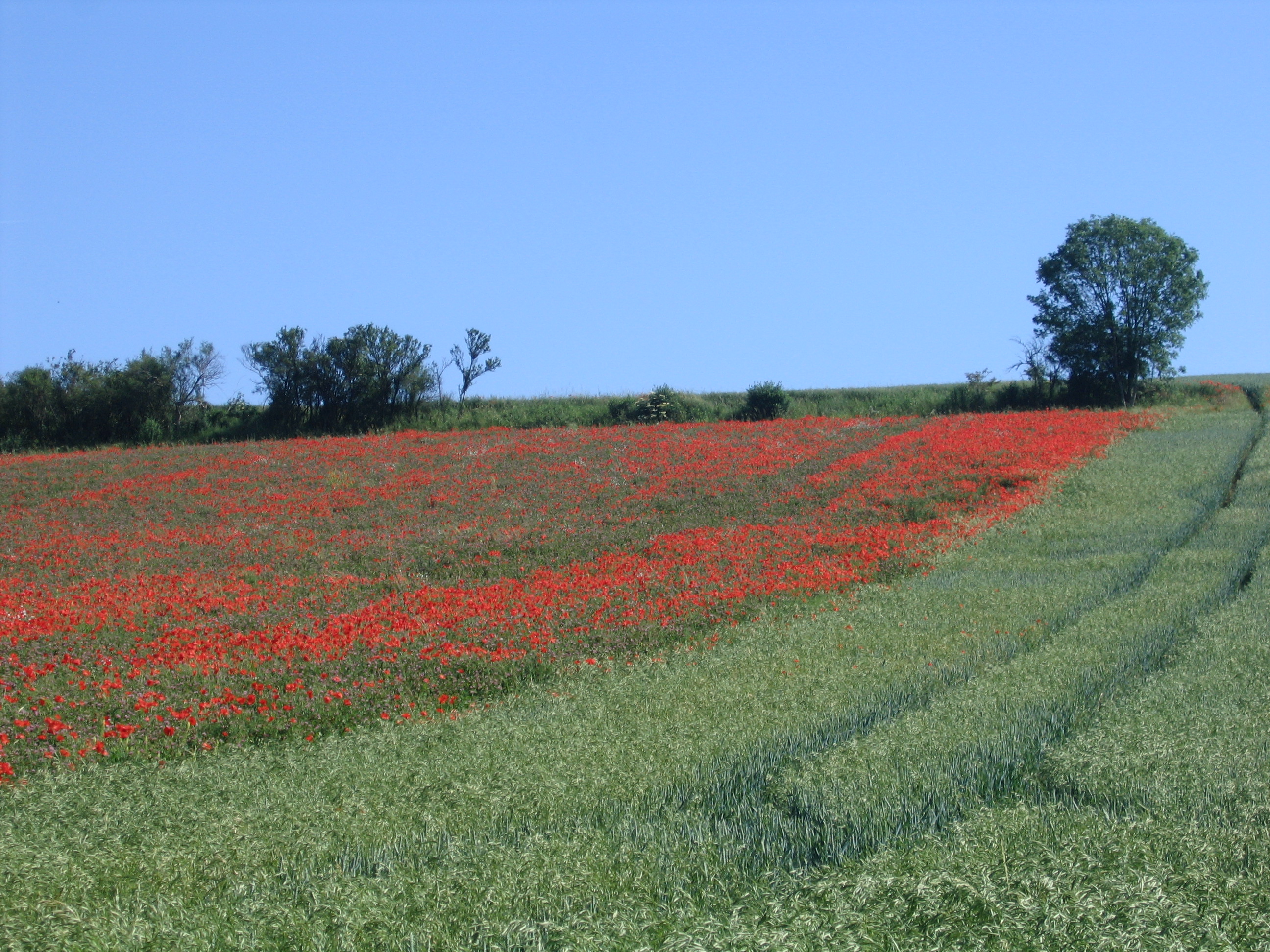 Entre Vallée du Thérain et Val du Sillet, Hermes - photo 2