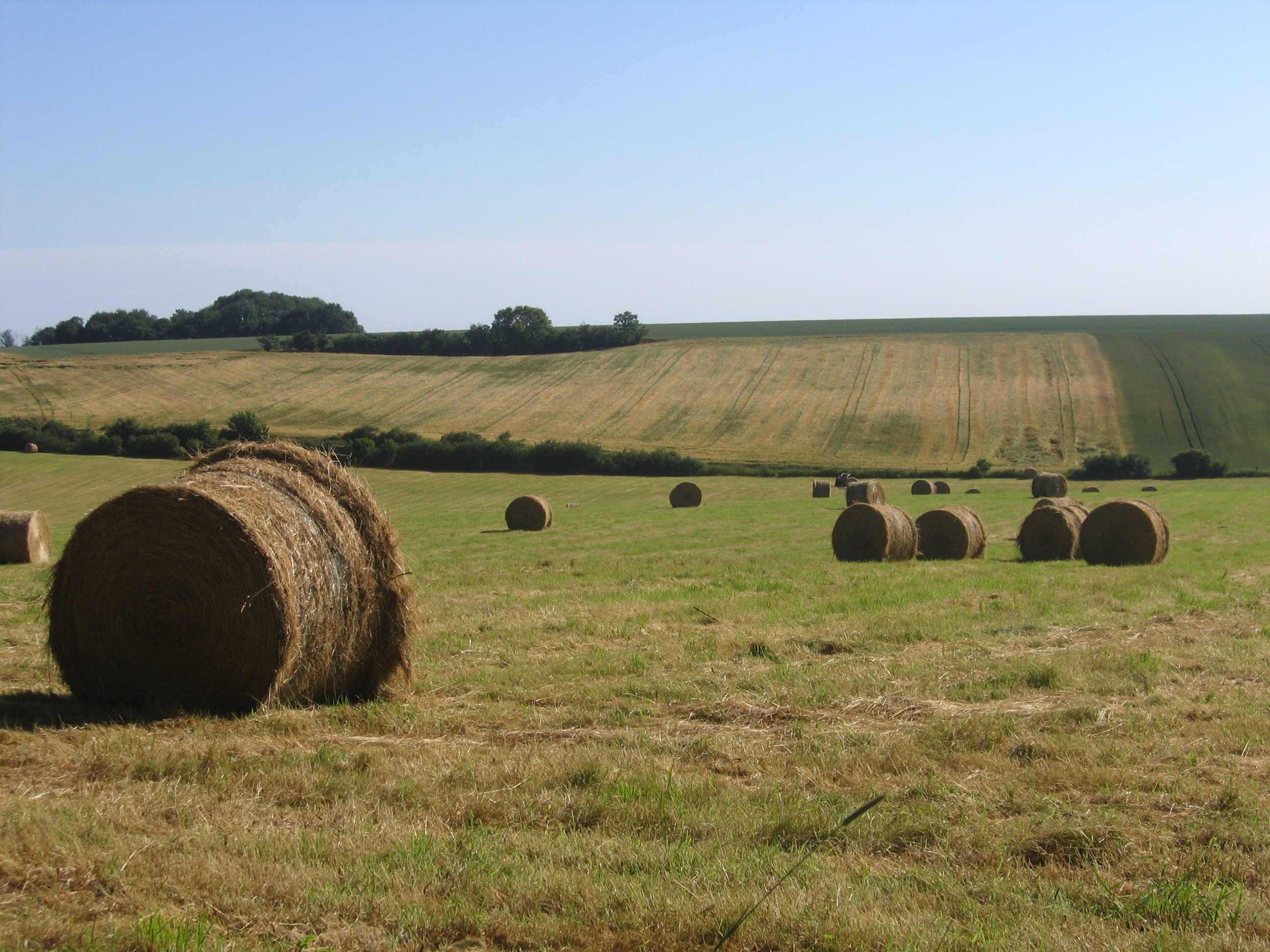 Entre Vallée du Thérain et Val du Sillet