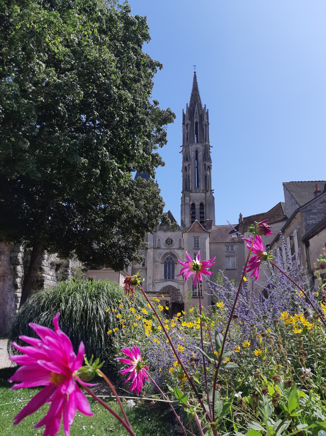 Senlis, ville royale