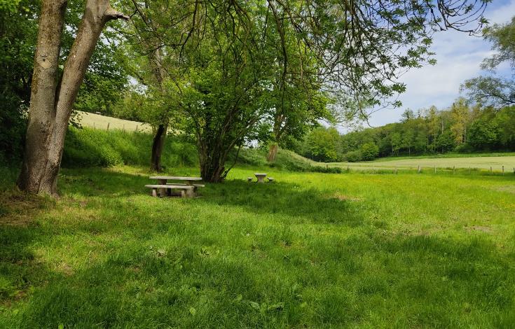 Circuit_Le_Moulin_Vieux_Repérage_2021_crédit_OTIPB_A_LEGENDRE (14)