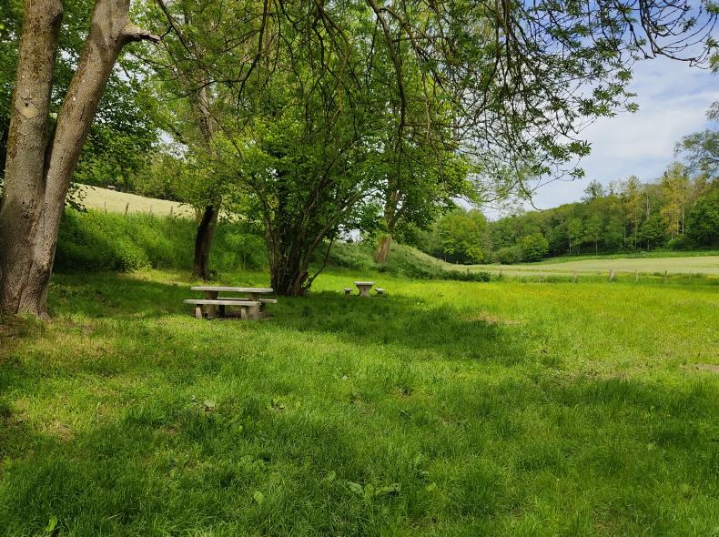 Circuit_Le_Moulin_Vieux_Repérage_2021_crédit_OTIPB_A_LEGENDRE (14)