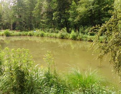 Le Marais de reilly