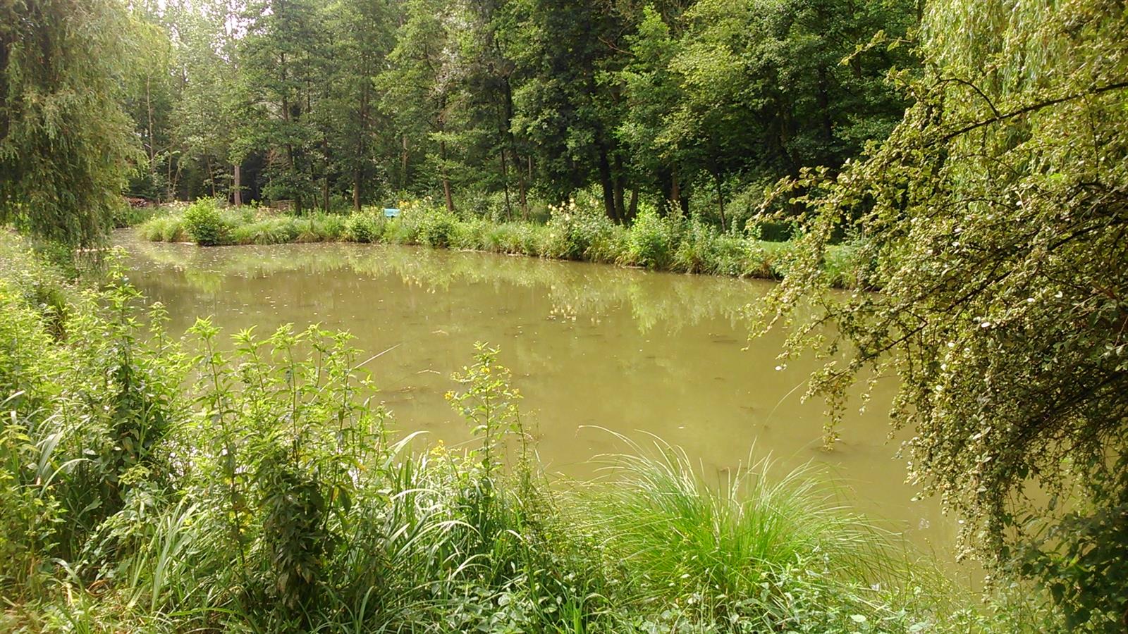 Le Marais de reilly