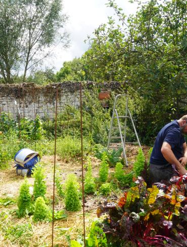 Visite d'une ferme écolieu en permaculture à Villers-Saint-Paul