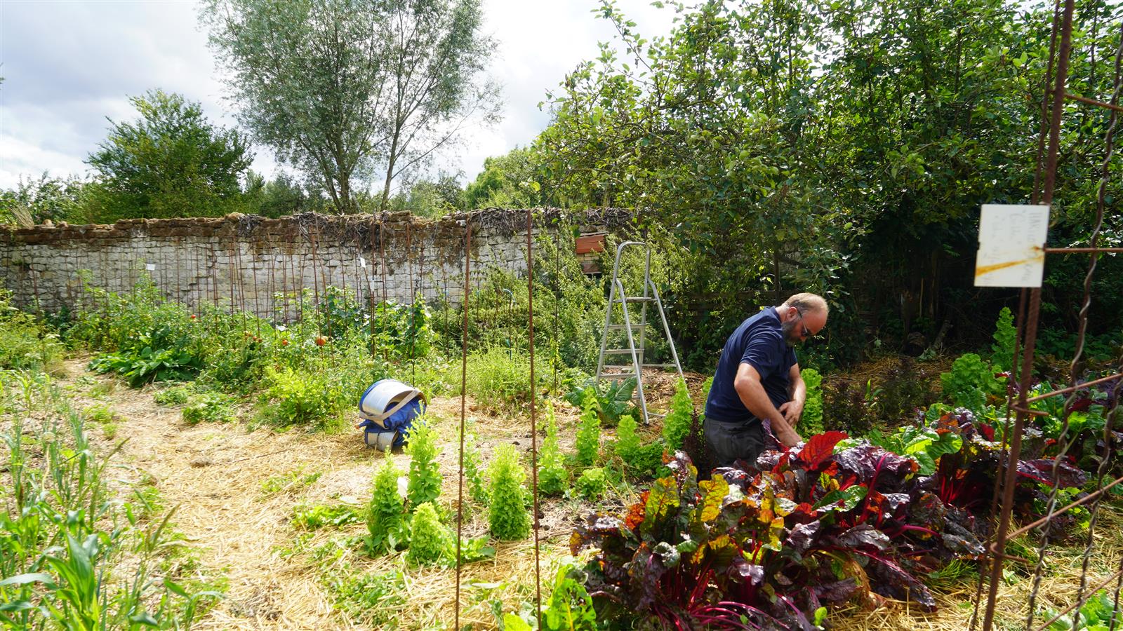 Visite d'une ferme écolieu en permaculture à Villers-Saint-Paul
