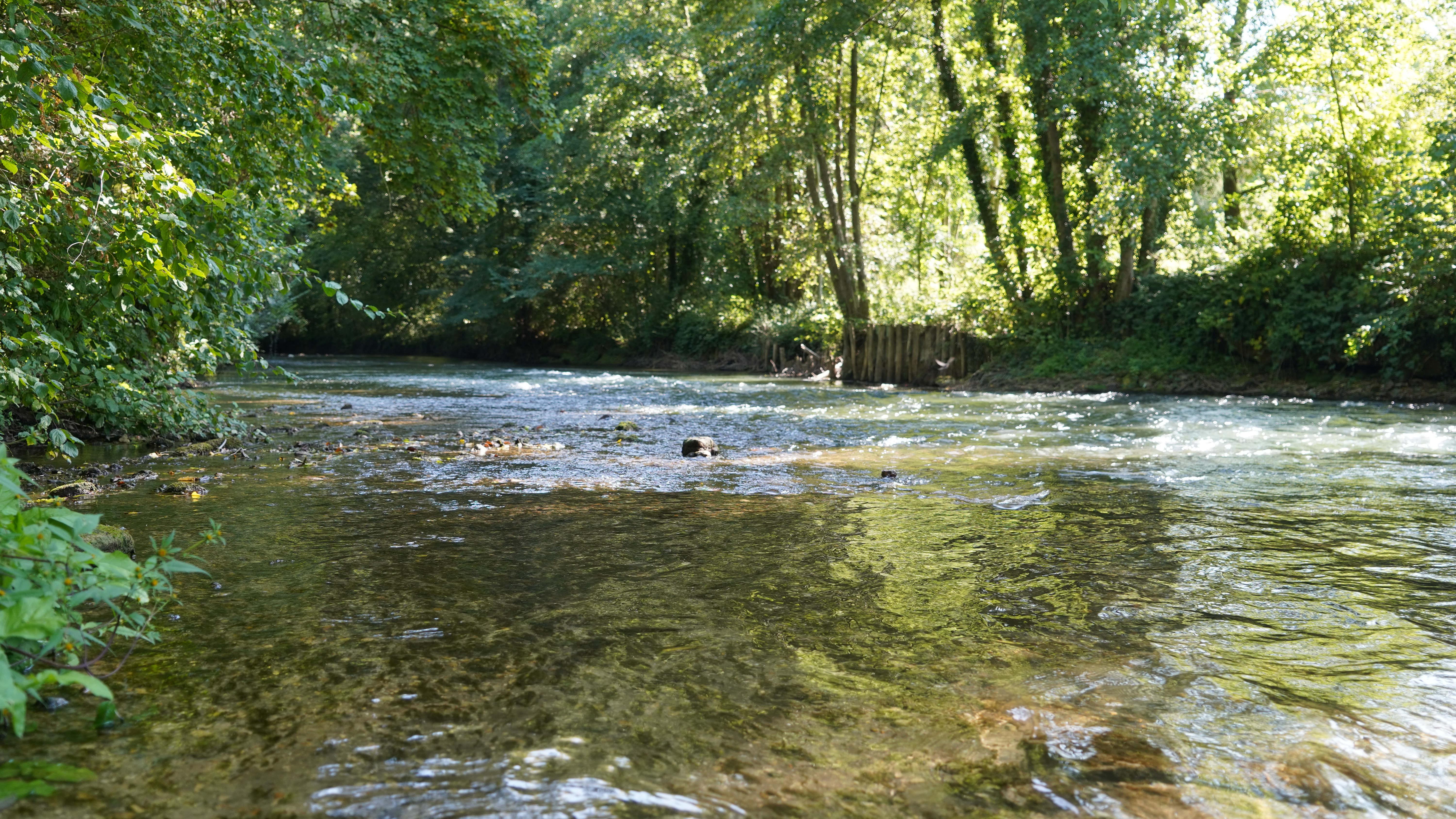 Entre champs et vallées, Thiverny - photo 3